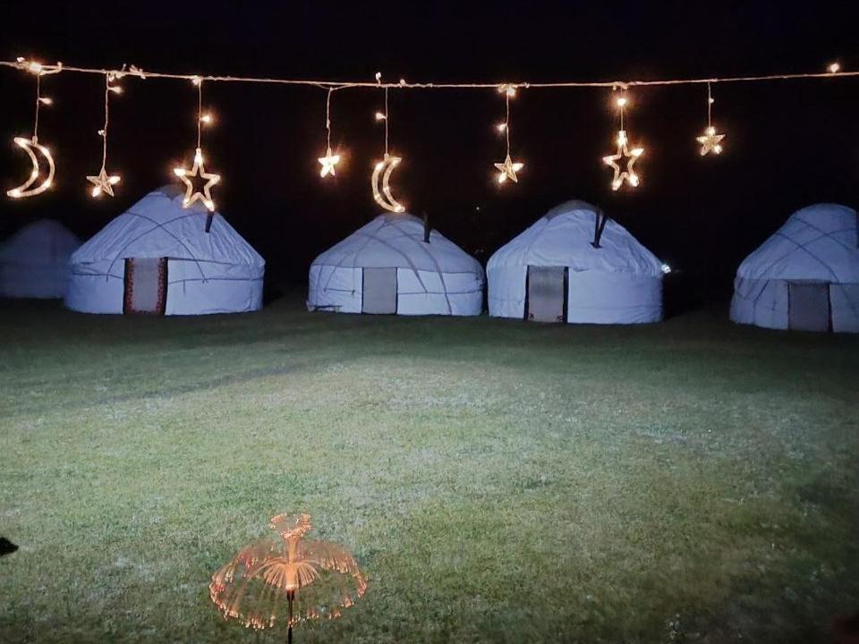 Zalkar Yurt Camp Hotel Song-Kul ภายนอก รูปภาพ