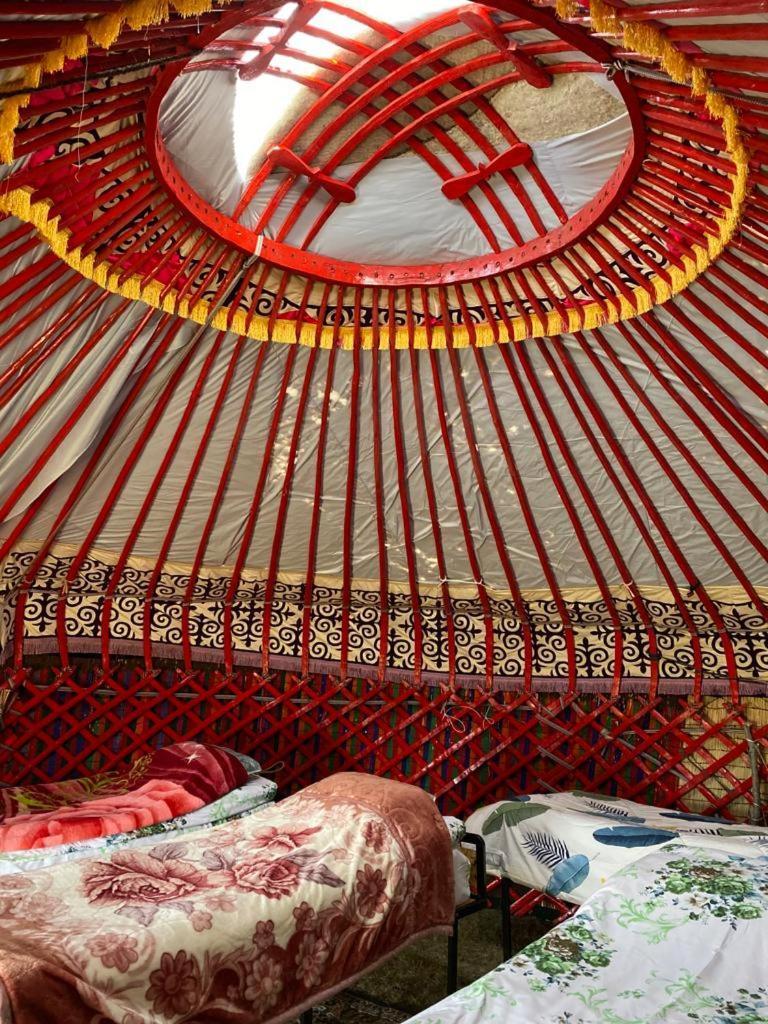 Zalkar Yurt Camp Hotel Song-Kul ภายนอก รูปภาพ